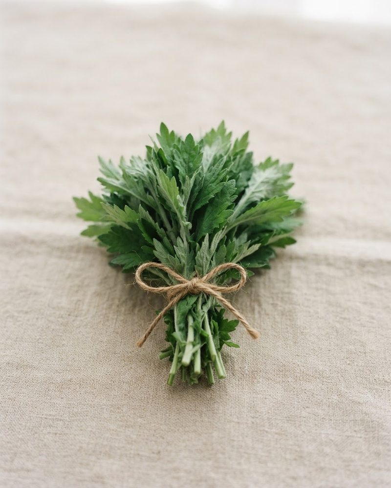 Bundle of fresh Korean mugwort leaves